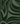 Green Line